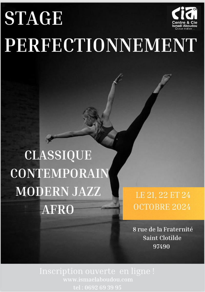 Ouvrir Affiche stage danse perfection oct 2024 2.png